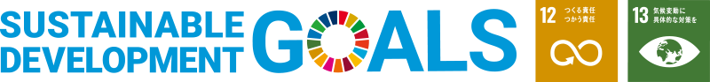 sdg_logo